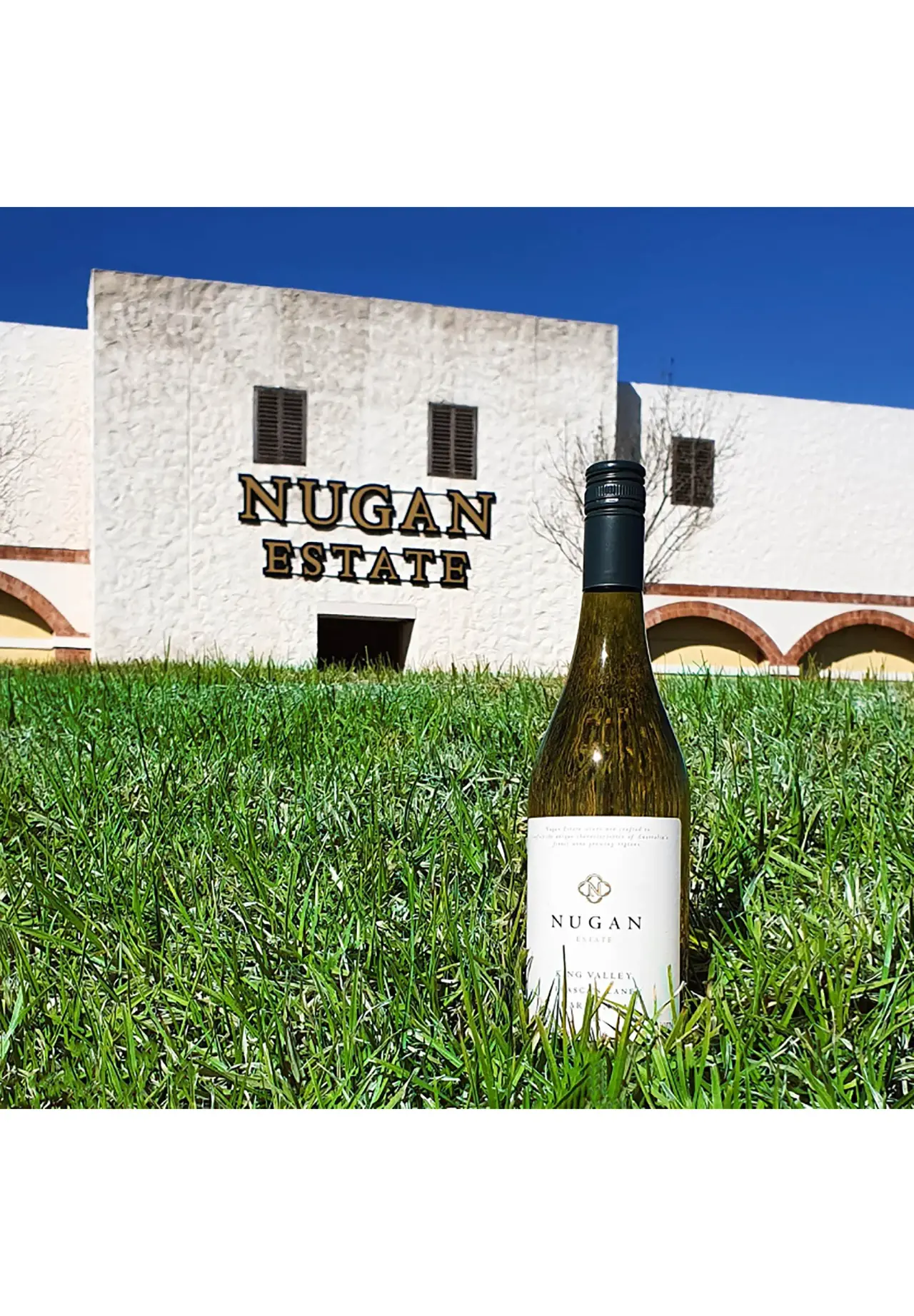 NUGAN ESTATE FRASCAS LANE KING VALLEY CHARDONNAY 750ml