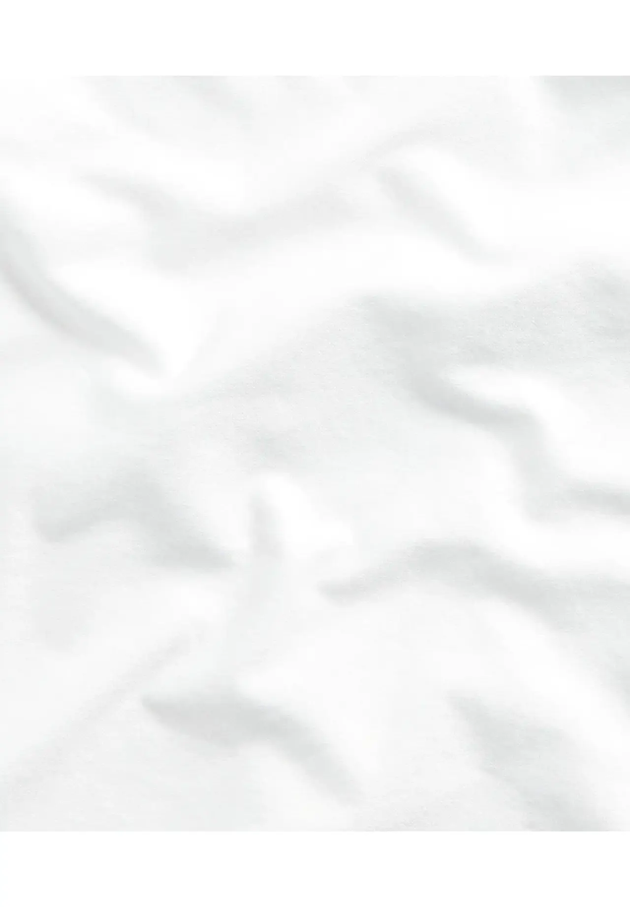 POLO RALPH LAUREN Classic Fit Oxford Shirt