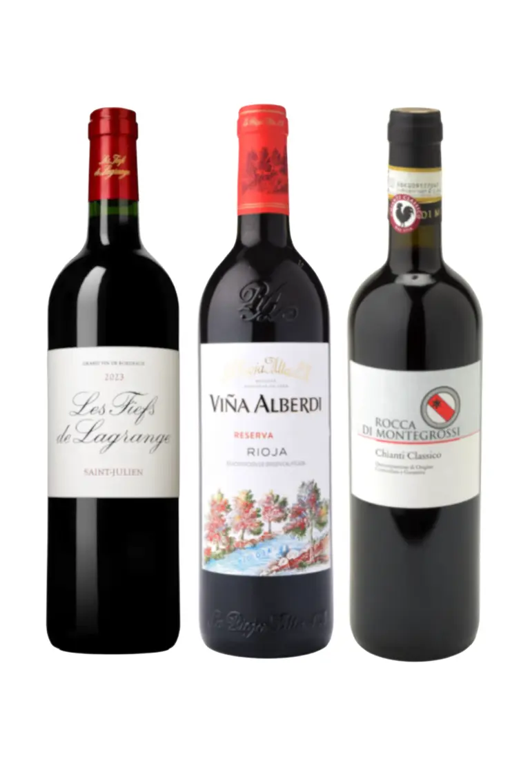 Around the World Full-Bodied Red Wine Tasting Set of 3