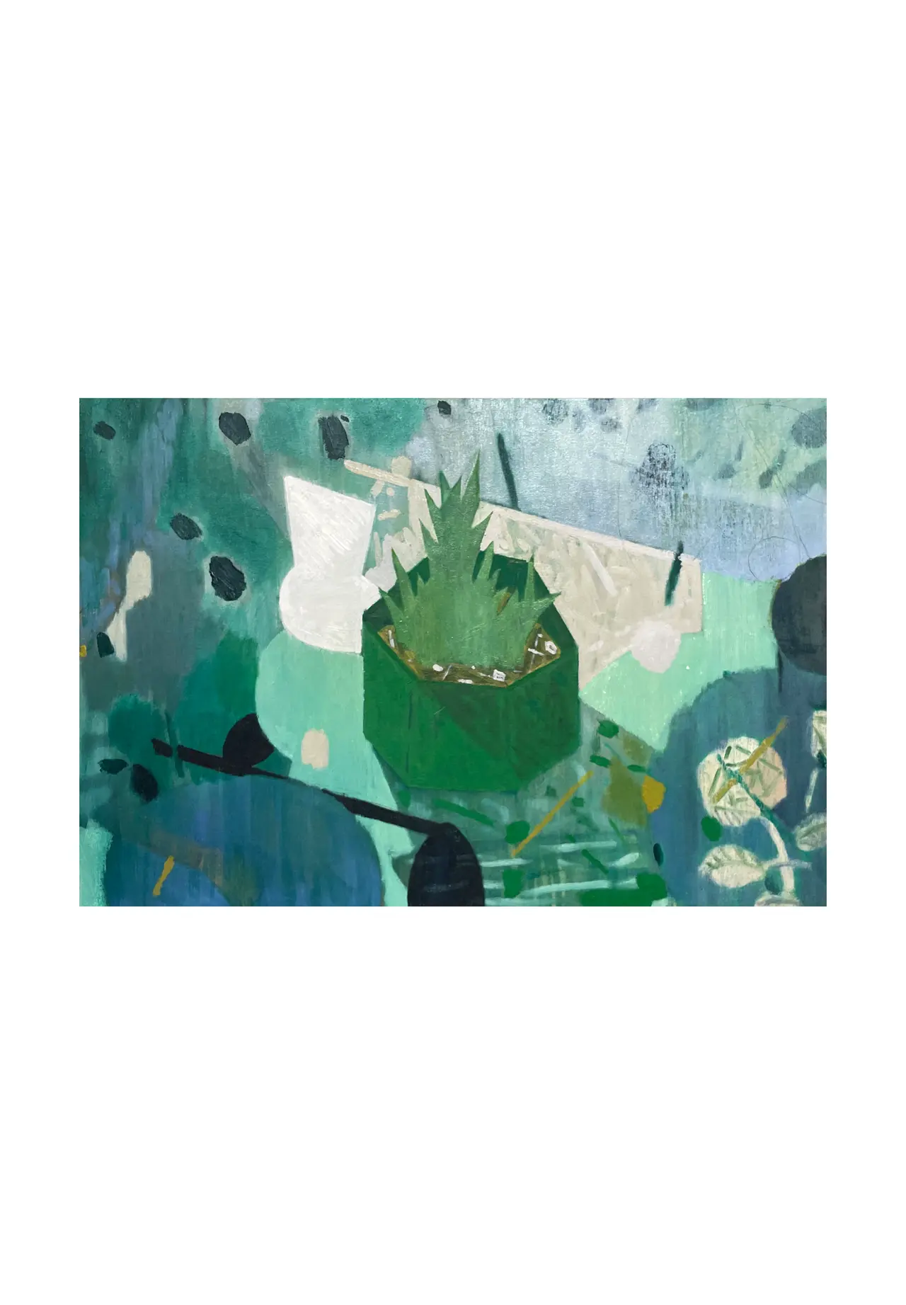 Succulent Plant 