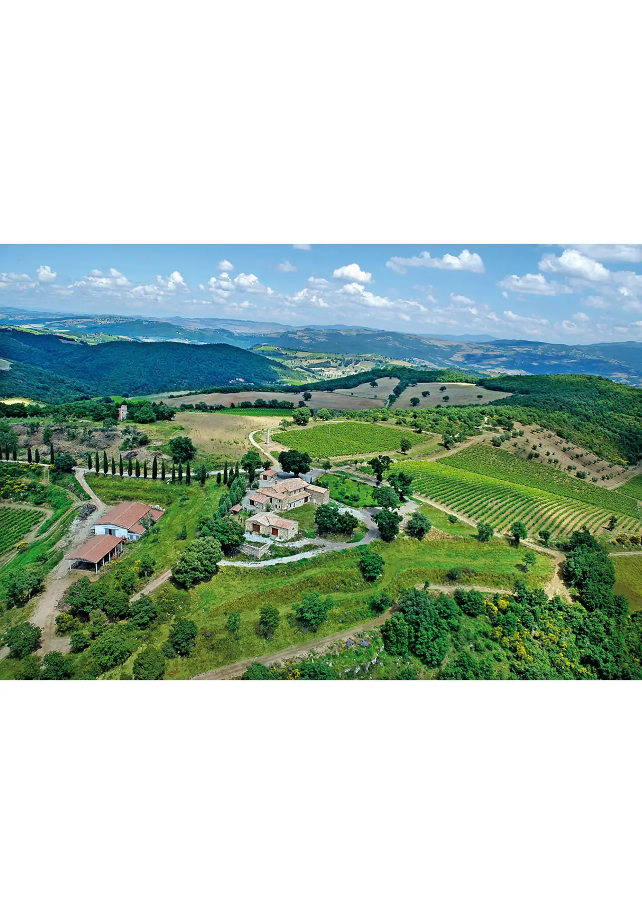VENTOLAIO Brunello di Montalcino 2019 温图莱奥 布鲁奈罗红葡萄酒 750ml